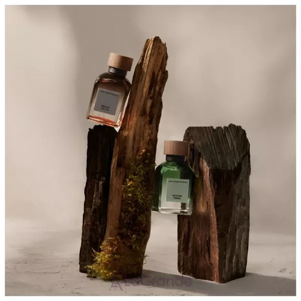 Adolfo Dominguez Vetiver Terra ��������������� ����