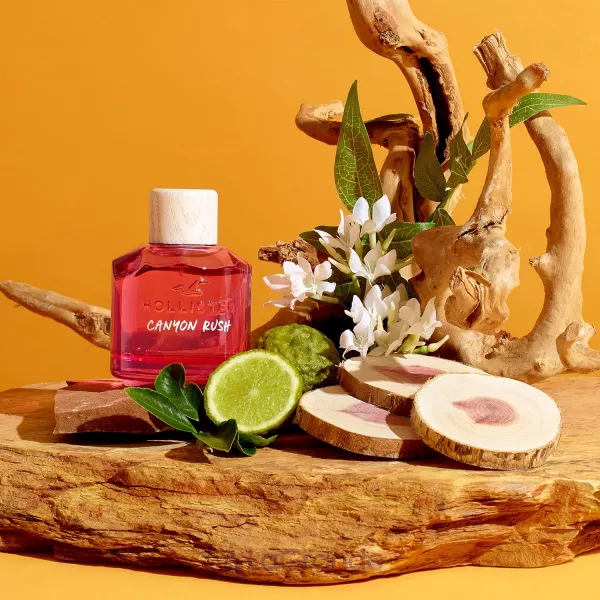 Hollister Canyon Rush For Her ��������������� ����