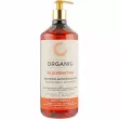 Punti Di Vista Organic Rejuvenating Antioxidant Shampoo       