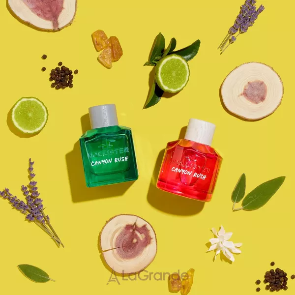 Hollister Canyon Rush for Him ��������� ����
