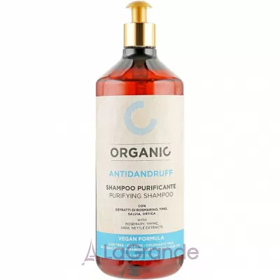 Punti Di Vista Organic Antidandruff Purifying Shampoo    