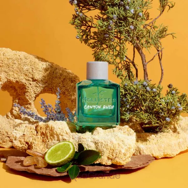 Hollister Canyon Rush for Him ��������� ���� (�������)