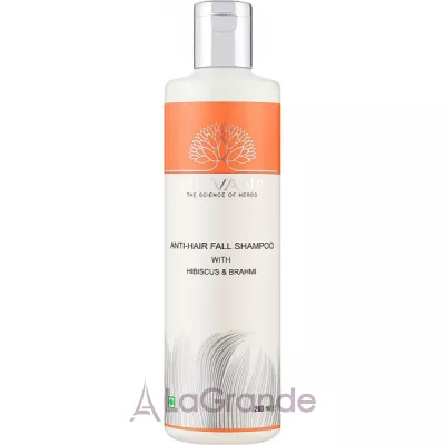 Mitvana Anti Hairfall Shampoo with Hibiscus & Brahmi         