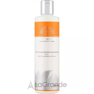 Mitvana Split End Repair Shampoo with Sweet Almond & Papaya      ,     