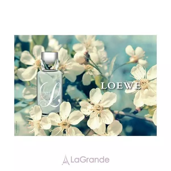 Loewe L Loewe Cool �������� ����