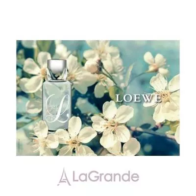 Loewe L Loewe Cool  