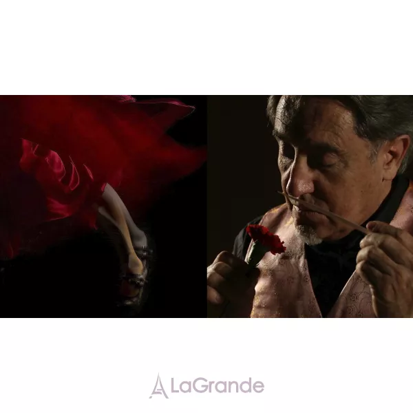 Ramon Monegal Flamenco ��������������� ���� (������)
