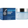 Zenzia Hyaluronic Acid Ampoule Cream      