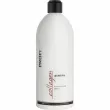 ProfiStyle Collagen Shampoo Anti-Aging Effect    