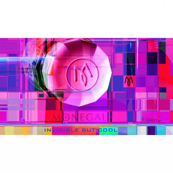 Ramon Monegal Invisible But Cool ��������������� ����