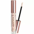 TopFace Instyle Lasting Finish Concealer   
