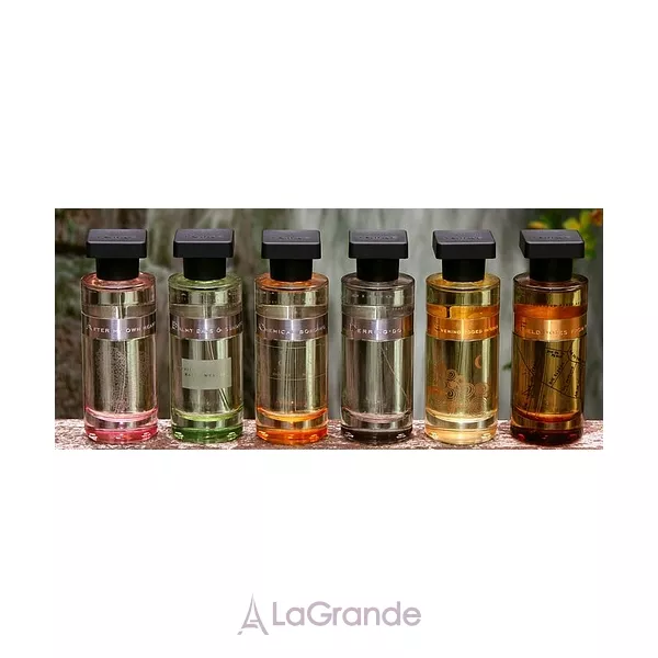 Ineke Field Notes From Paris ����������� ����