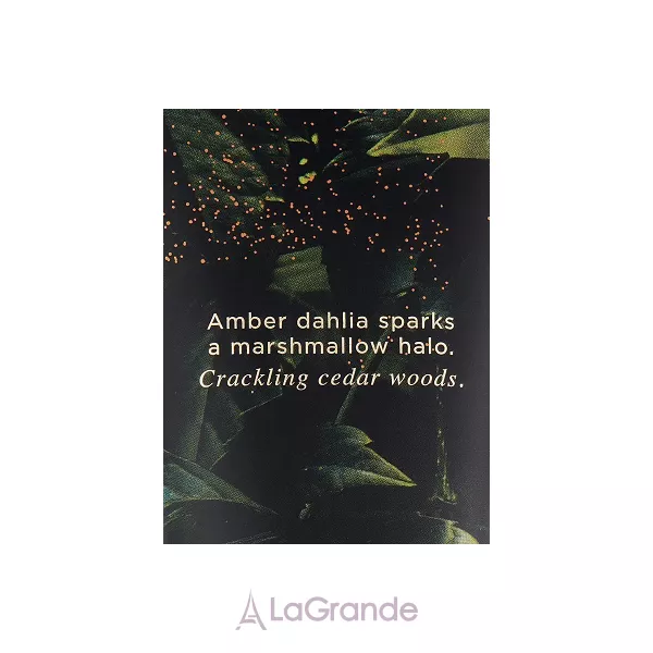Victoria`s Secret Star Smoked Amber ������������ ������� ��� ���