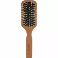 Alcina Paddle Brush ٳ��� ��� ������� �����'���