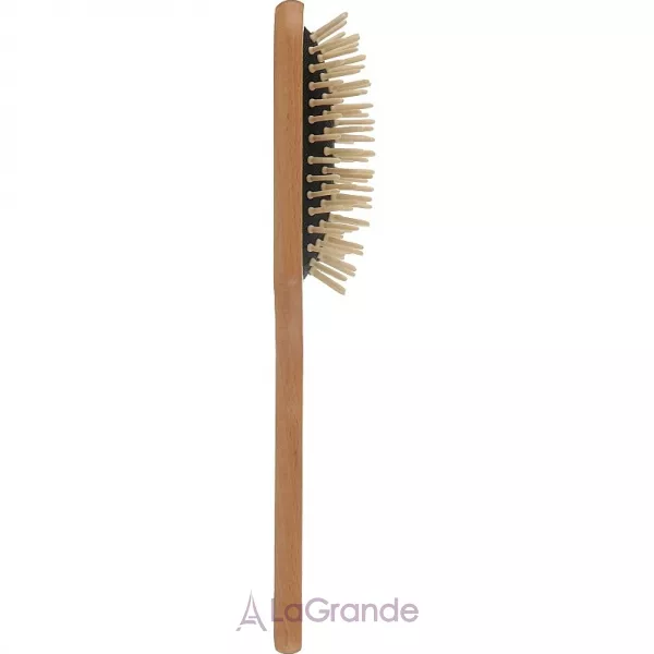Alcina Paddle Brush ٳ��� ��� ������� �����'���