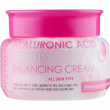 FarmStay Hyaluronic Acid Premium Balancing Cream 100ml