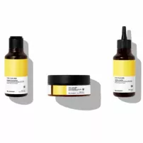 Elgon Yes Shine Kit ����� ��� ������ �����