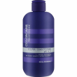 Elgon Colorcare Silver Conditioner 300ml