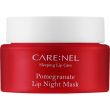 Carenel Pomegrant Lip Night Mask 23g