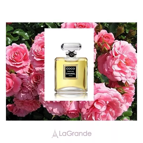 Chanel Coco ����
