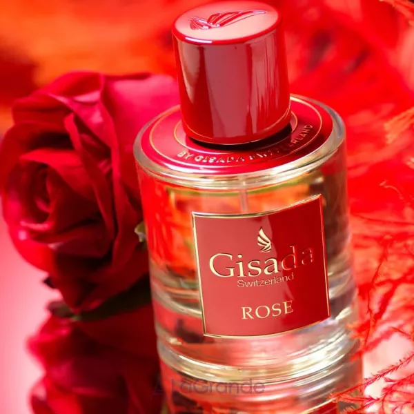 Gisada Rose ����