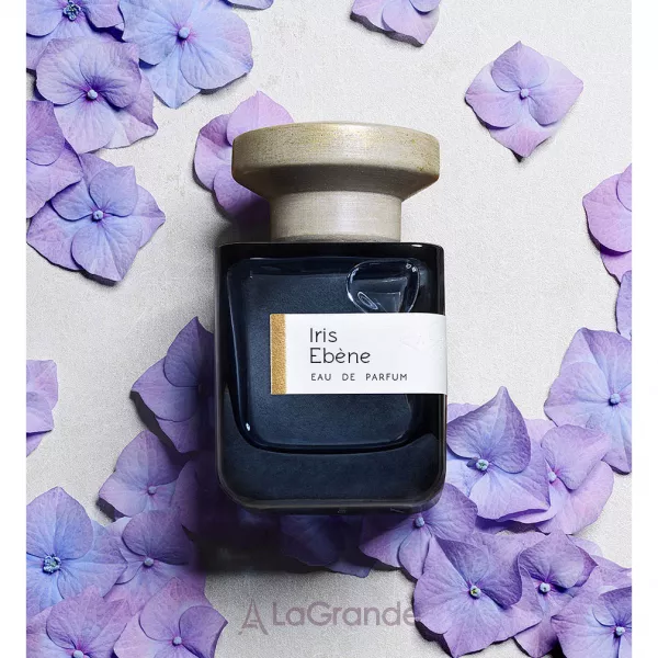 Atelier Materi Iris Ebene ��������������� ����