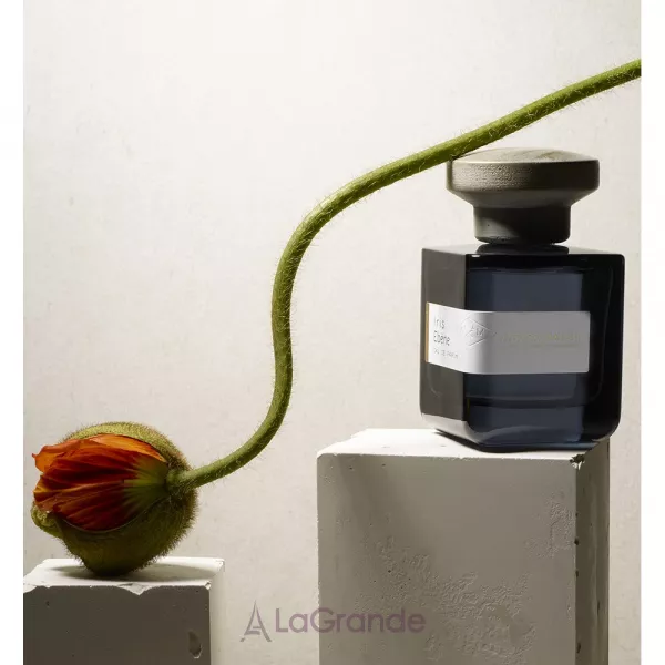 Atelier Materi Iris Ebene ��������������� ���� (�������)