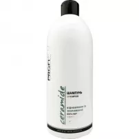 ProfiStyle Ceramide Shampoo Repairing And Moisturizing ������� ��� ������� "³��������� �� ����������"