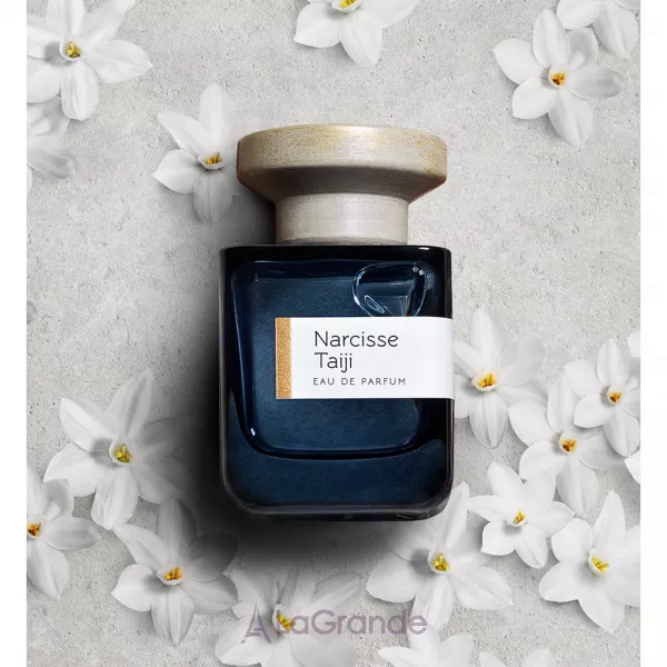 Atelier Materi Narcisse Taiji ��������������� ����