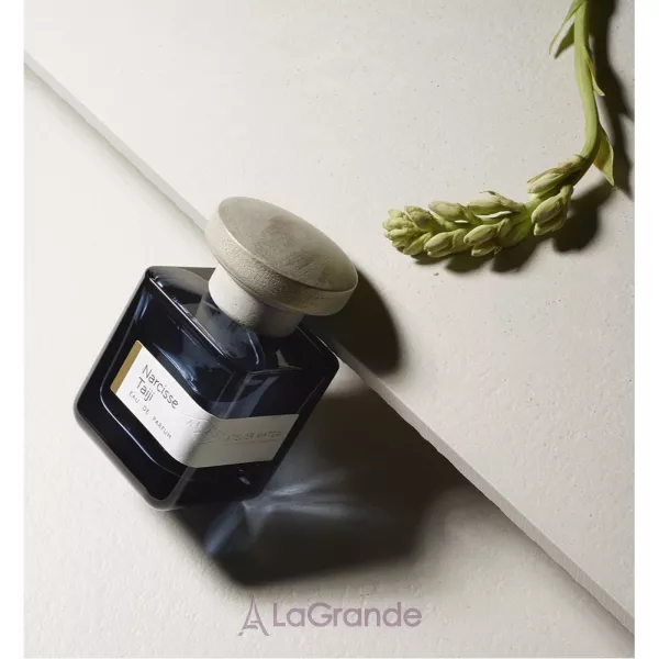 Atelier Materi Narcisse Taiji ��������������� ���� (�������)
