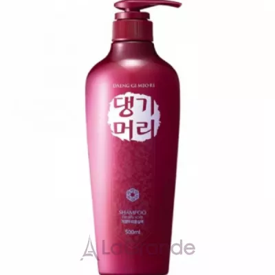Daeng Gi Meo Ri Shampoo For Oily Scalp     