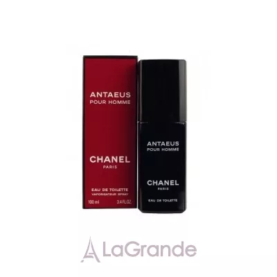 Chanel Antaeus  