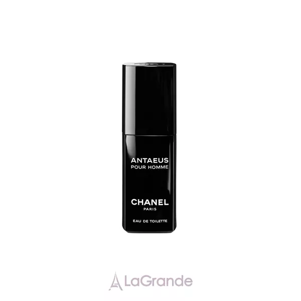 Chanel Antaeus �������� ����