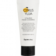 FarmStay Citrus Yuja Vitalizing Foam Cleansing 100ml