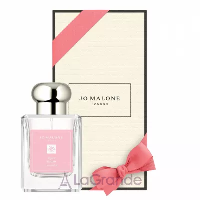 Jo Malone Rose Blush Cologne 2023 