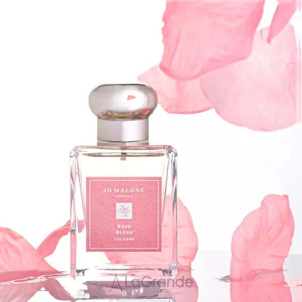 Jo Malone Rose Blush Cologne 2023 �������� (������)