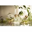 Annick Goutal Songes  