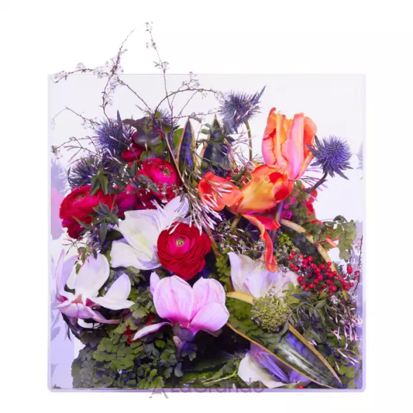 Les Eaux Primordiales Magnolia Supercritique ��������������� ���� (����)