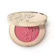 Kiko Milano A Holiday Fable Long Wear Hydra Blush ' 