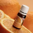 Lambre Orange Essential Oil 100% Natural & Pure   