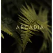 Hiram Green Arcadia   ()