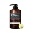 Kundal Honey & Macadamia Nature Shampoo Acacia Moringa 100ml