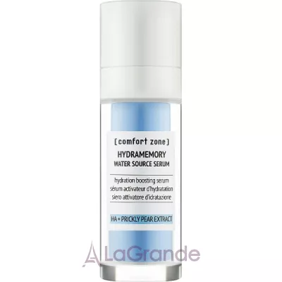 Comfort Zone Hydramemory Water Source Serum       