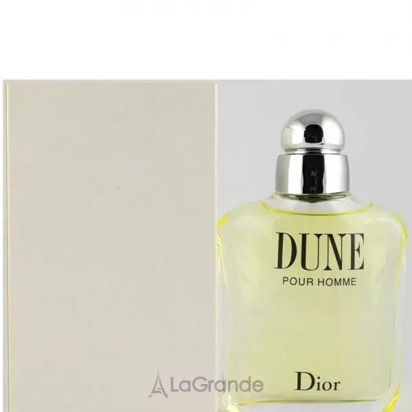 Christian Dior Dune pour Homme ��������� ���� (������)
