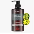 Kundal  Honey & Macadamia Nature Shampoo Green Muscat 500ml