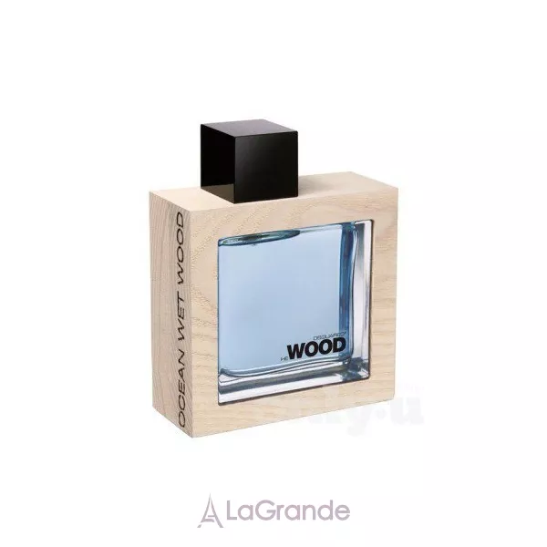 DSquared2 He Wood Ocean Wet ��������� ����