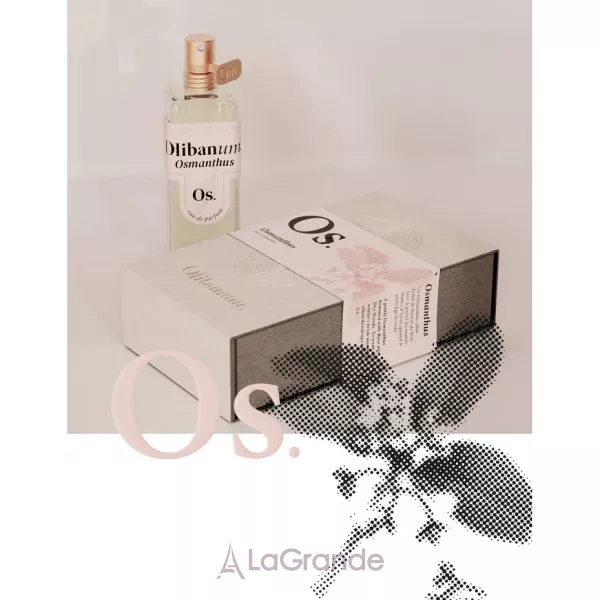 Olibanum Osmanthus ��������������� ����