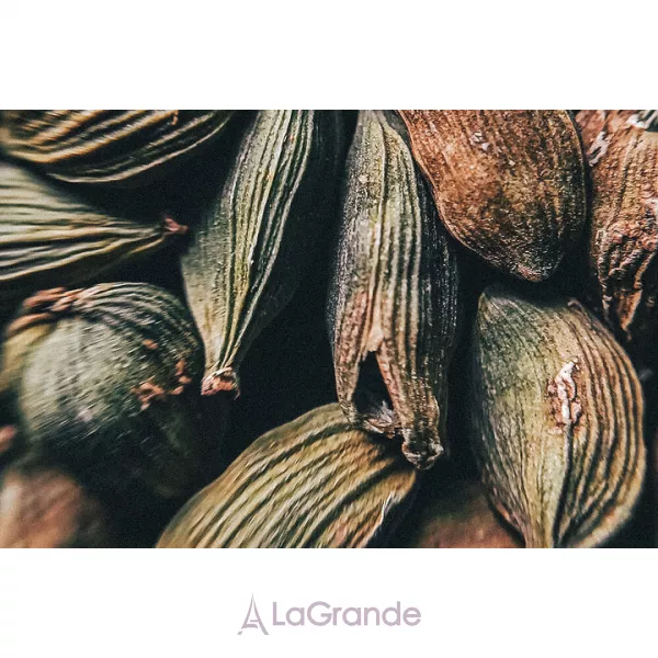 Olibanum Cardamome ��������������� ���� (�������)