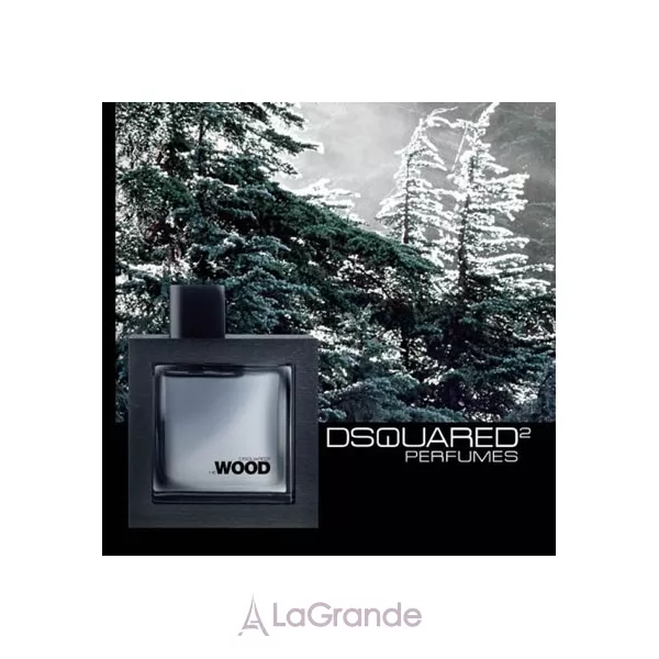 DSquared2 He Wood Rocky Mountain ��������� ����
