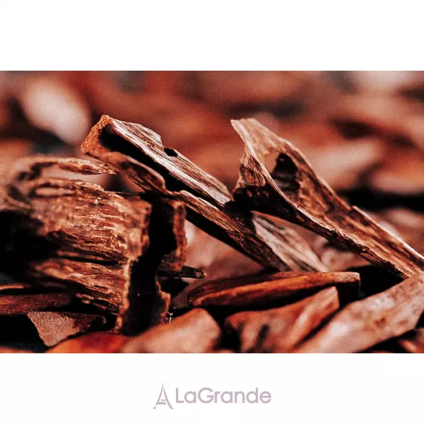 Olibanum Oud ��������������� ���� (�������)